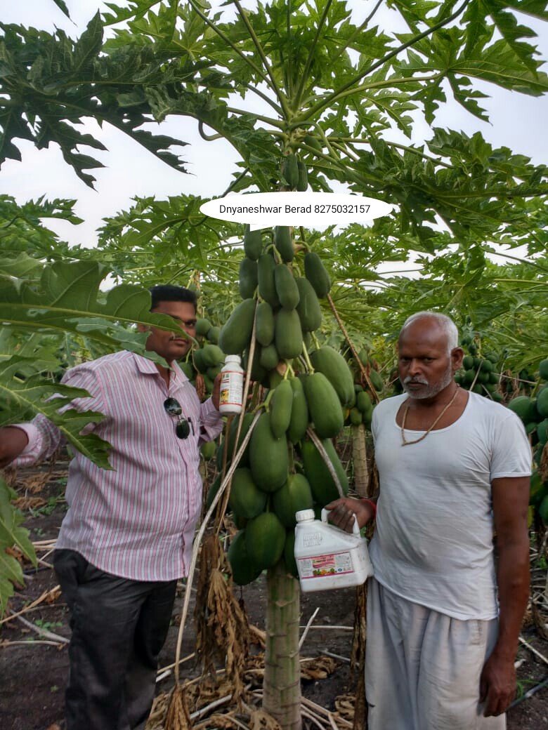 Green Planet Bio Products Ahmednagar Mobile  shop Ahmednagar